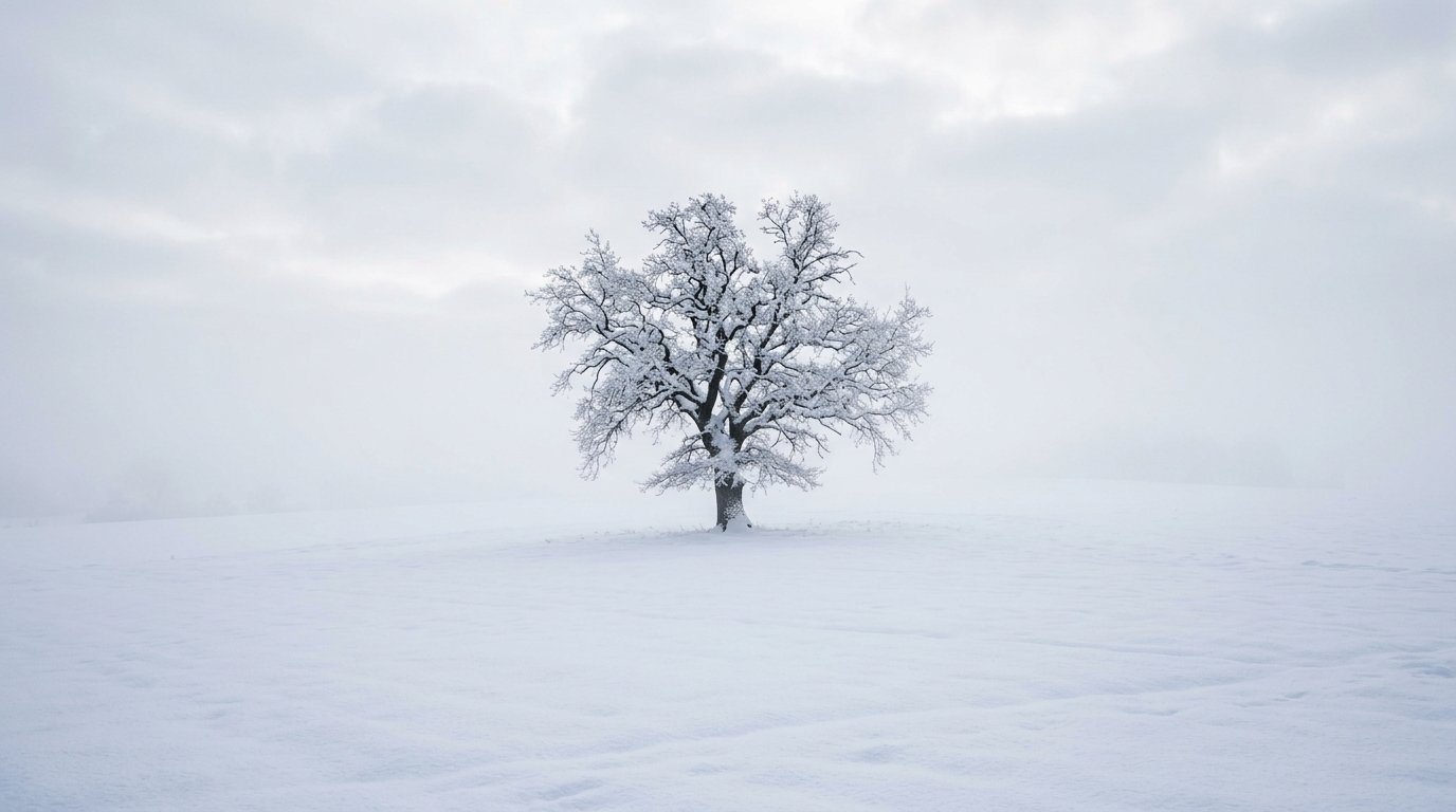 Photorealistic photo of snowy winter landscape, centered subject with a simple uncluttered composition, misty morning haze, dreamy, 16:9 aspect ratio