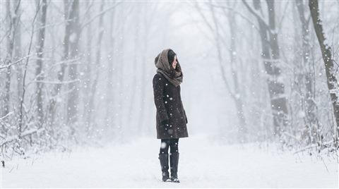 Photorealistic photo of falling snowflakes, centered subject with a simple uncluttered composition, misty morning haze, dreamy, 16:9 aspect ratio