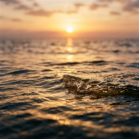Photorealistic photo of sunset over the sea, close-up detail with shallow depth of field, warm golden light, calm mood, 1:1 aspect ratio